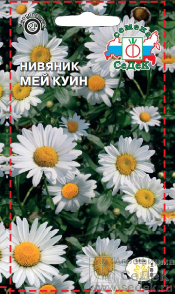 Нивяник_Мей Куин_0,2_г._Седек