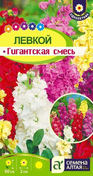 Левкой (маттиола)_Гигантская см_0,2_г._Семена Алтая