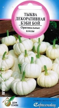Тыква декоративная_Бэби Бой_5_шт._Дом Семян С-П