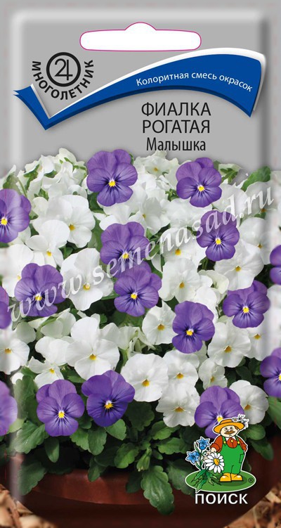 Фиалка_Малышка см (рогатая)_0,1_г._Поиск