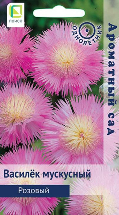 Василек_мускусный Розовый (Ароматный сад)_0,04_г._Поиск
