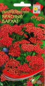 Ахиллея (тысячелистник)_Красный бархат_250_шт._Дом Семян С-П