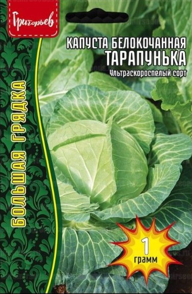 Капуста_б/к_Тарапунька (ультраранняя) б/ф_1_г._Григорьев