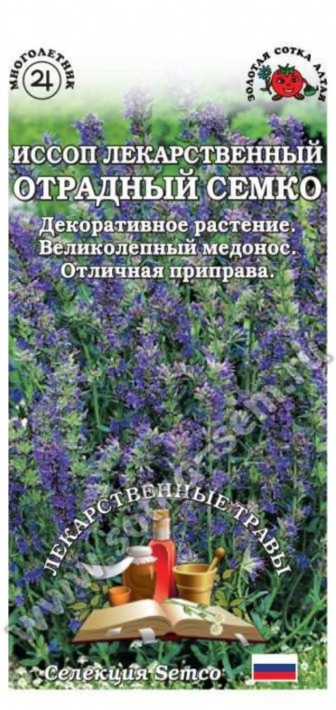 Иссоп_Отрадный Семко (Лекарственные травы) (Semco)_0,3_г._Золотая Сотка Алтая