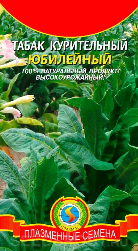 Табак курительный (махорка)_Юбилейный_0,04_г._Плазменные семена