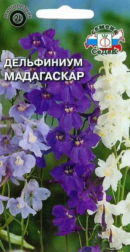 Дельфиниум_Мадагаскар см_0,04_г._Седек