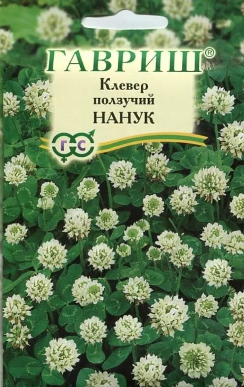 Клевер_Белый/20г ползучий_20_г._Гавриш