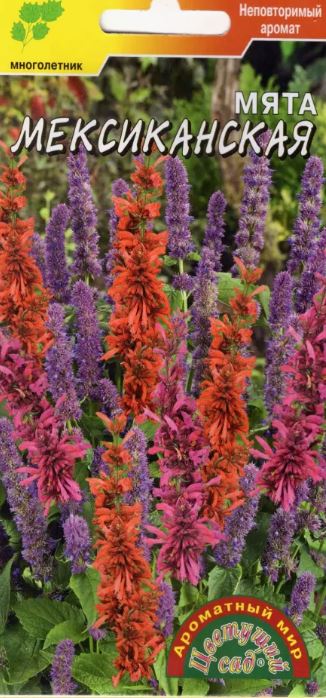 Мята_Мексиканская_0,04_г._Цветущий Сад
