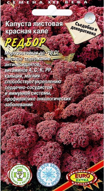 Капуста_листовая_кале Редбор красная (съедобная)_0,1_г._Аэлита Э