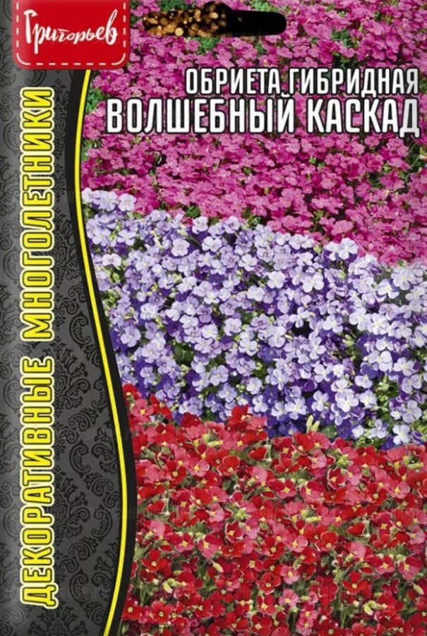 Обриета (аубреция)_Волшебный Каскад см б/ф_0,05_г._Григорьев