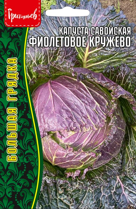 Капуста_савойская_Фиолетовое Кружево б/ф_0,4_г._Григорьев