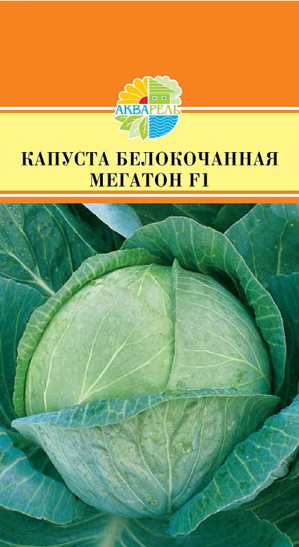 Капуста_б/к_Мегатон F1 (ср/позд)_15_шт._Акварель