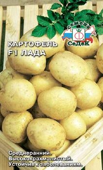 Картофель_Лада F1 ср_0_г._Седек