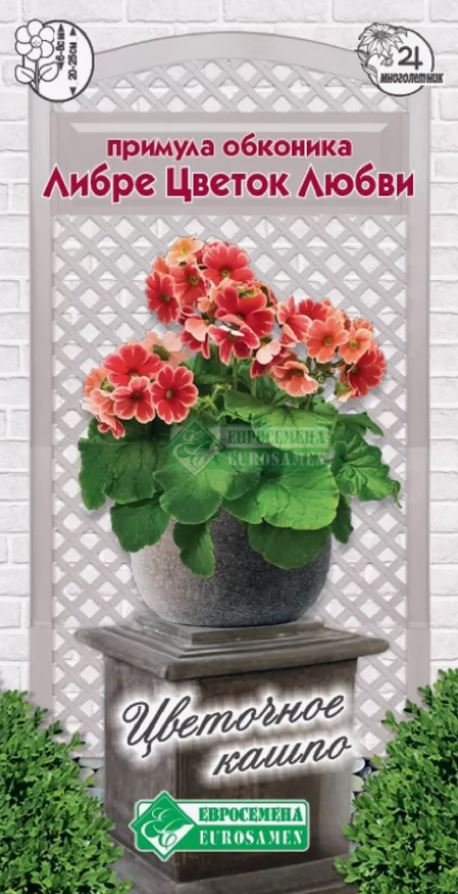 Примула_Либре Цветок Любви (обконика) (Цветочное Кашпо)_0,04_шт._ЕВРОСЕМЕНА