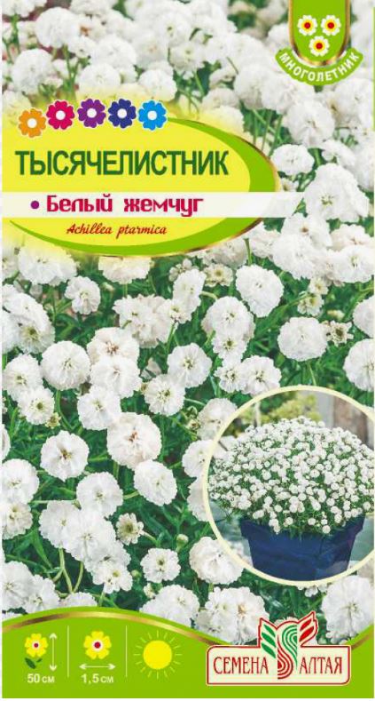 Ахиллея (тысячелистник)_Белый Жемчуг_0,1_г._Семена Алтая