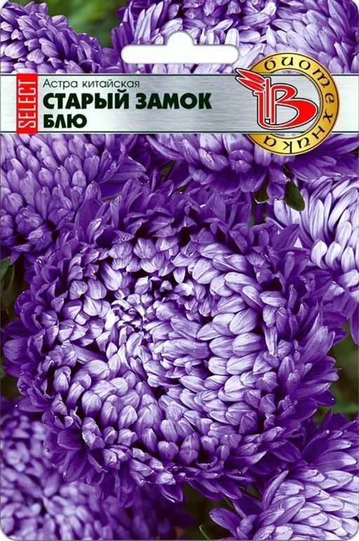Астра_Ст Замок Селект Блю (пионовидная)_30_шт._Биотехника