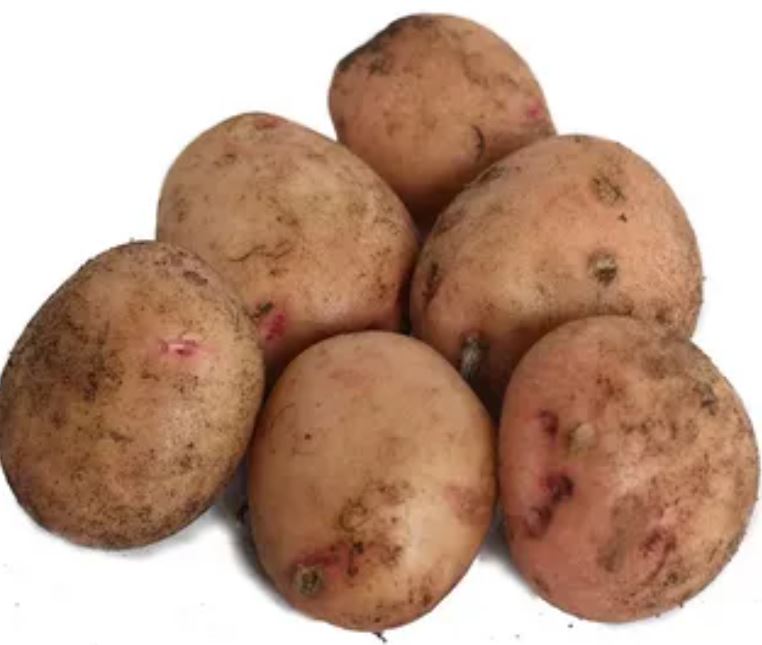 Синеглазка репродукция ( сетка 2кг ) кг