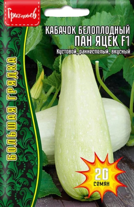 Кабачок_Пан Яцек б/ф_20_шт._Григорьев