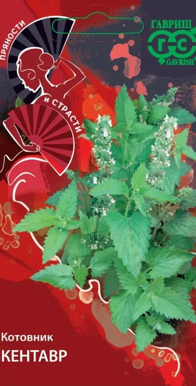 Котовник (непета)_Кентавр_0,1_г._Гавриш