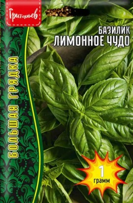 Базилик_Лимонное чудо б/ф_1_г._Григорьев