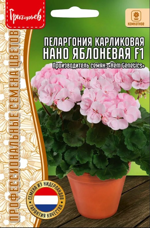 Герань (Пеларгония)_Нано F1 Яблоневая (карликовая ) б/ф_3_шт._Григорьев