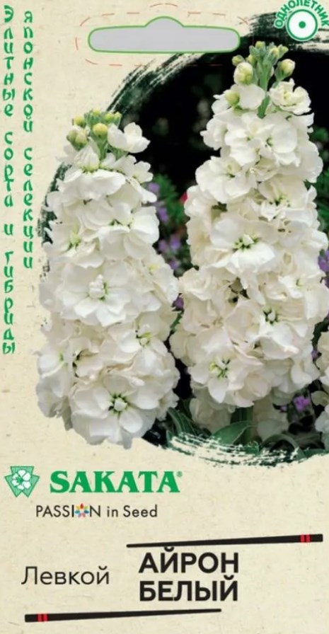 Левкой (маттиола)_Айрон Белый (Sakata)_0,04_шт._Гавриш