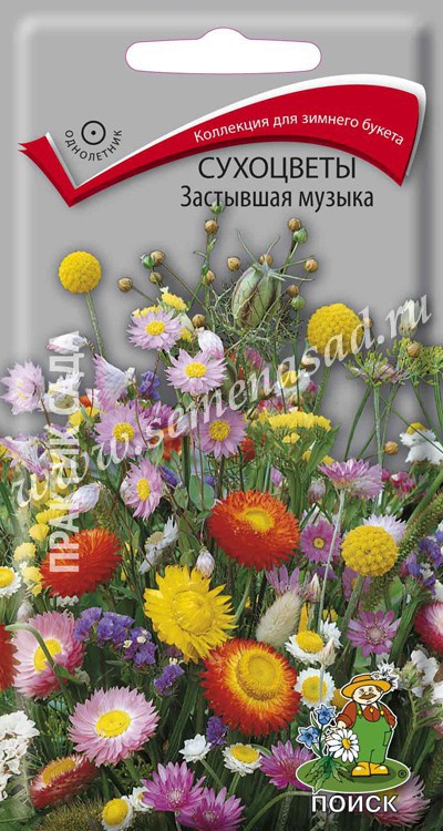 Смесь_Сухоцветы Застывшая музыка_0,3_г._Поиск