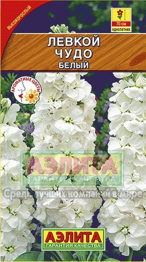 Левкой (маттиола)_Чудо белый_0,1_г._Аэлита