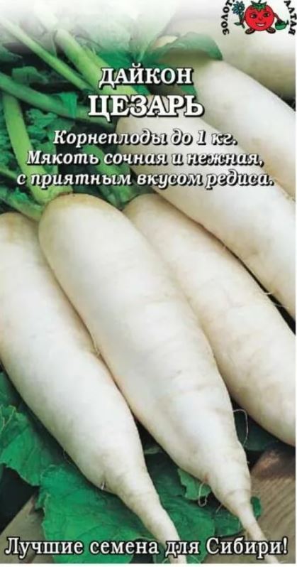 Дайкон_Цезарь_0,04_г._Золотая Сотка Алтая