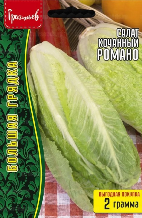 Салат_Романо (кочан) б/ф_2_г._Григорьев