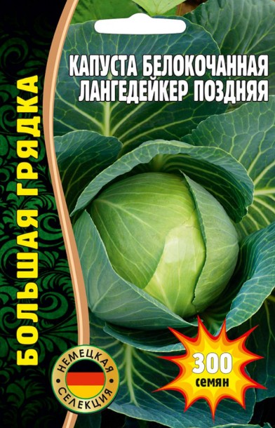 Капуста_б/к_Лангедейкер (позд) б/ф_300_шт._Григорьев