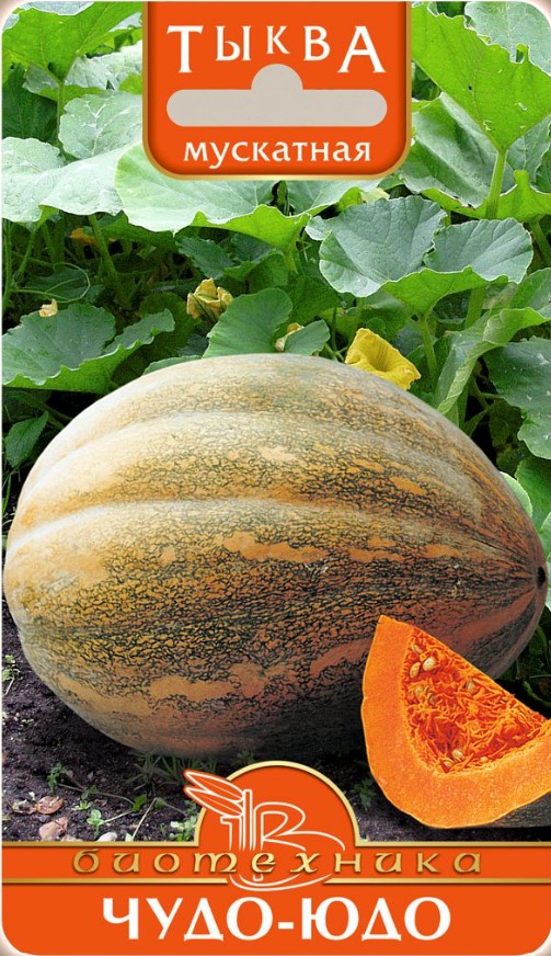 Тыква декоративная_Крукнек_8_шт._Биотехника