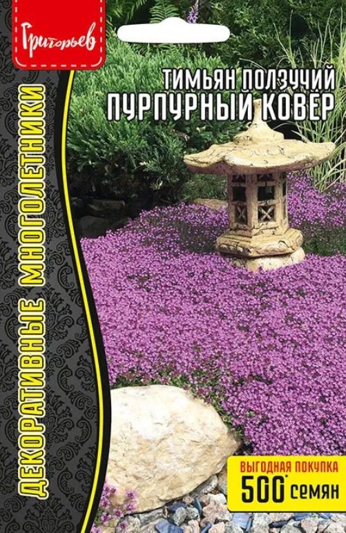 Тимьян (чабрец, Богородская трава)_Пурпурный Ковер б/ф_0,1_г._Григорьев