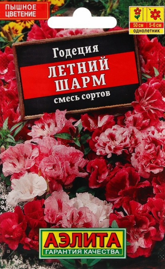 Годеция_Летний Шарм см_0,05_г._Аэлита