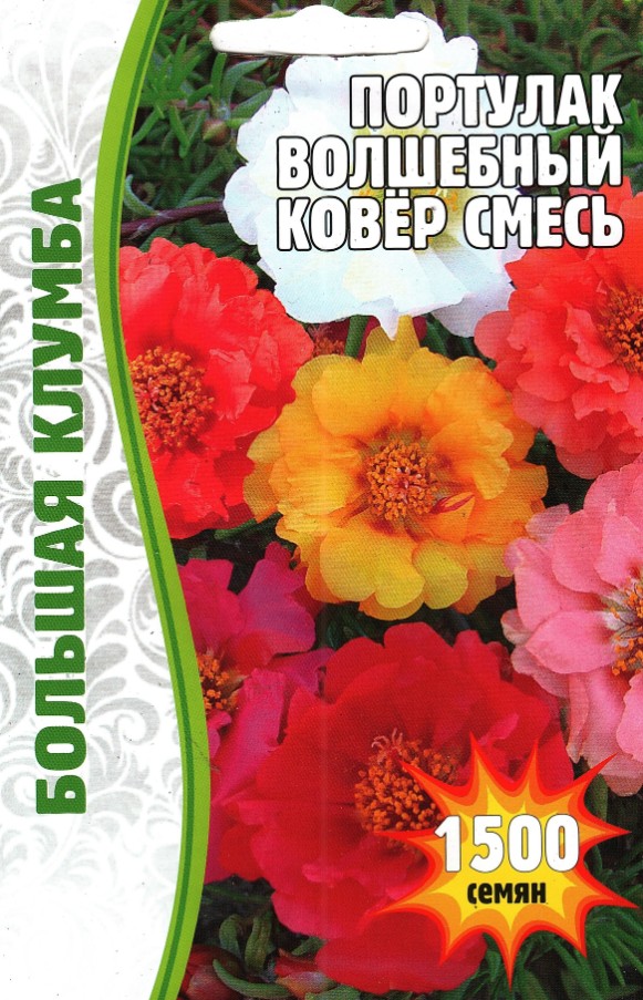 Портулак_Волшебный ковер см б/ф_1500_шт._Григорьев