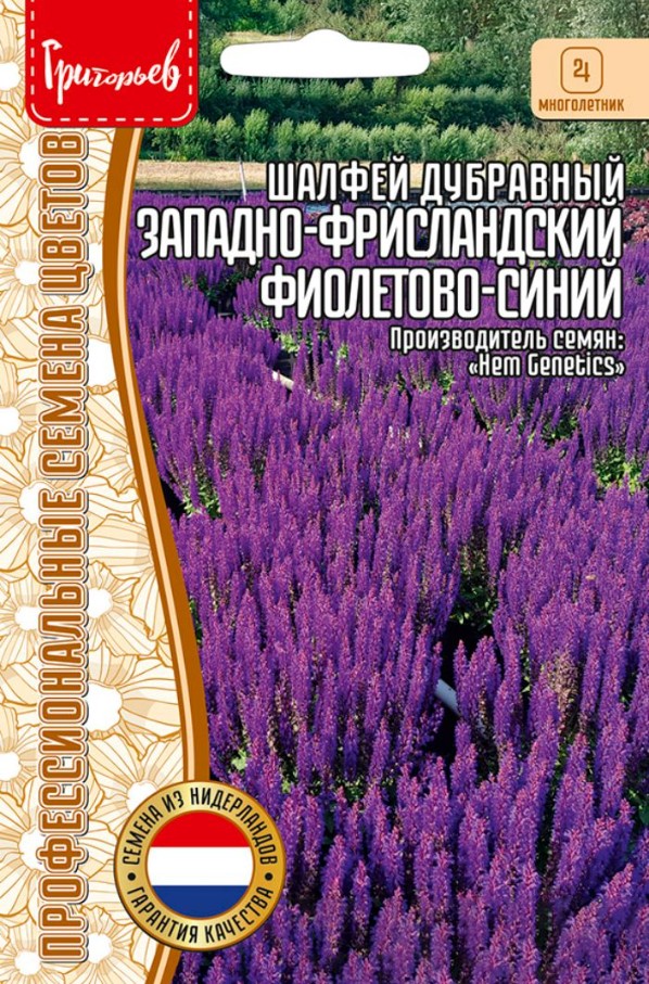 Сальвия (шалфей)_Фиолетово-Синий (дубравный) б/ф_100_шт._Григорьев