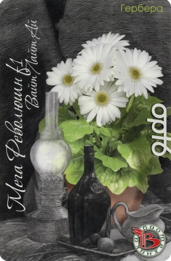 Гербера_Мега Революшн F1 Вайт Лайт Ай_5_шт._Биотехника