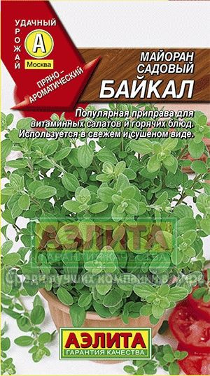 Майоран_Байкал садовый_0,1_г._Аэлита