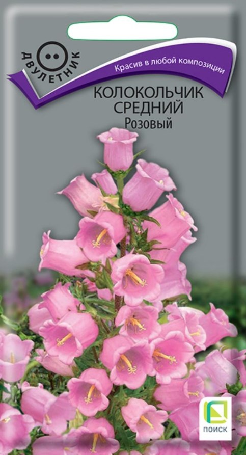 Колокольчик_Розовый (средний)_0,04_г._Поиск