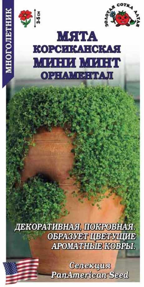 Мята_Мини Минт_0,04_шт._Золотая Сотка Алтая