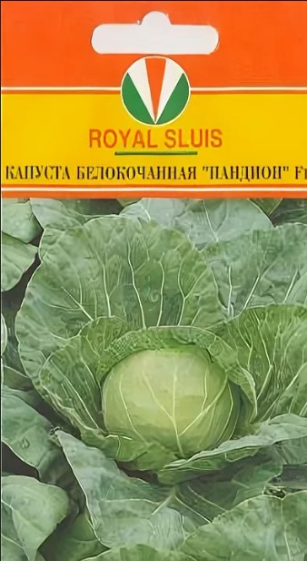 Капуста_б/к_Пандион F1_20_шт._Акварель