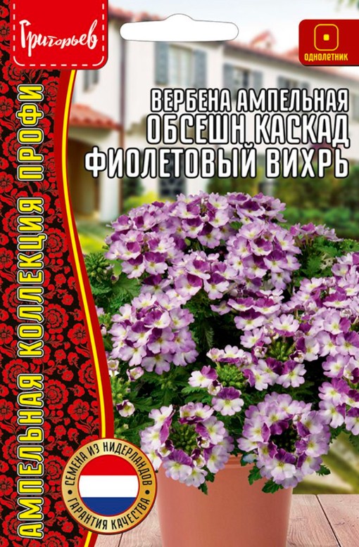 Вербена_Обсешн Фиолетовый Вихрь (ампельная) б/ф_3_шт._Григорьев