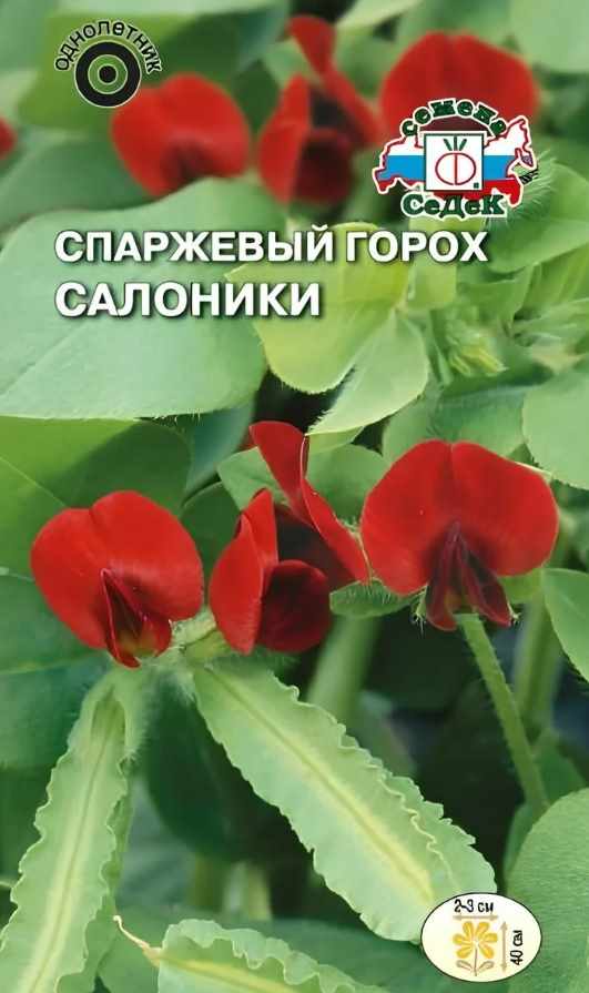 Горох_Салоники (спаржевый)_0,04_г._Седек