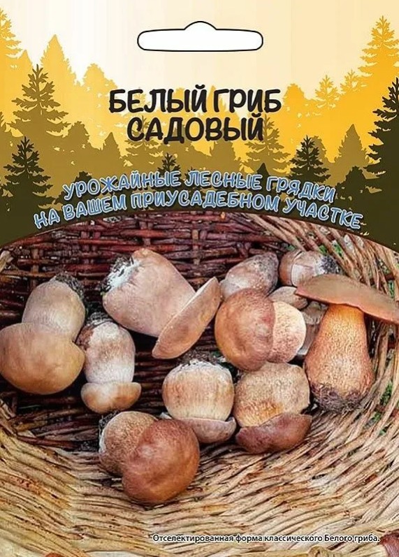 Мицелий_Белый Гриб Садовый (на зерновом субстрате) б/ф_30_мл._Уральский Дачник