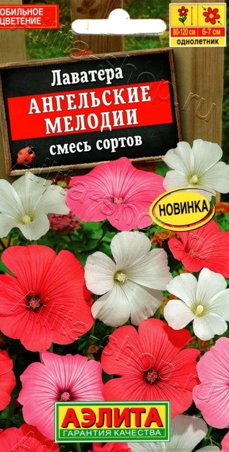 Лаватера (хатьма)_Ангельские Мелодии см_0,04_г._Аэлита