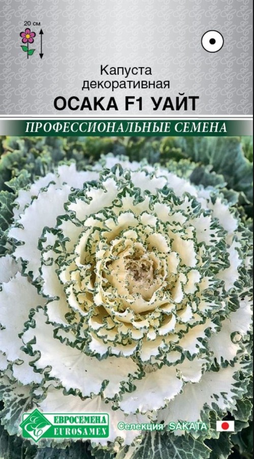 Капуста_декоративная_Осака F1 Уайт (SAKATA проф семена)_8_шт._ЕВРОСЕМЕНА