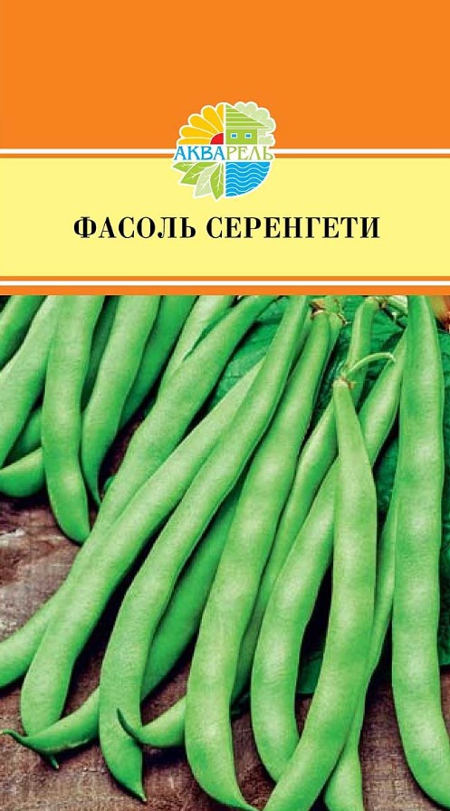 Фасоль_Серенгети (куст спарж зел)_20_шт._Акварель