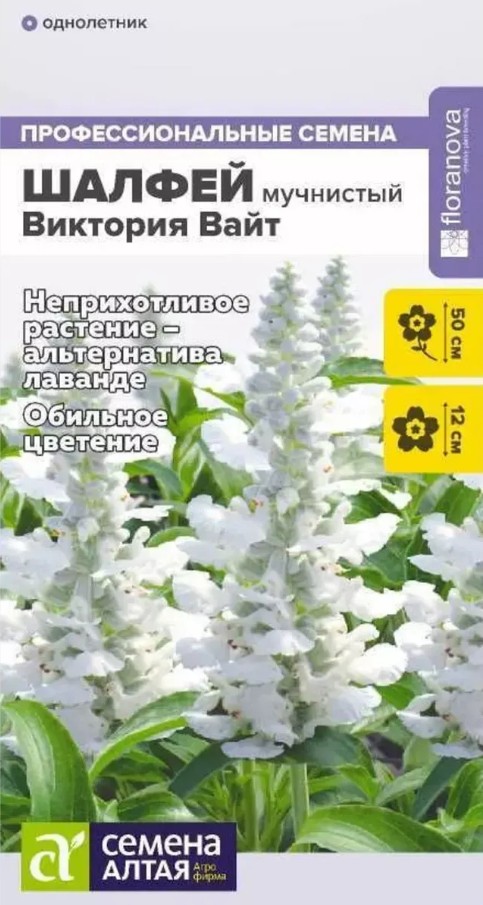 Сальвия (шалфей)_Виктория Вайт (мучнистая)_10_шт._Семена Алтая
