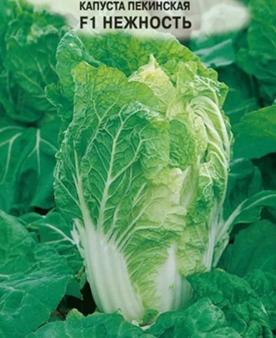Капуста_пекинская_Нежность_0,5_г._Семко