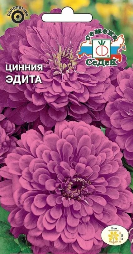Цинния_Эдита (георгиновидная, розово-лавандовая)_0,5_г._Седек